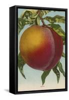 Fruit Chromo Lithograph of Peach - Fruit-Lantern Press-Framed Stretched Canvas