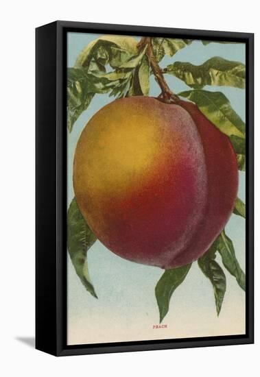 Fruit Chromo Lithograph of Peach - Fruit-Lantern Press-Framed Stretched Canvas