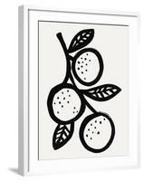 Fruit Cocktail - Apricot-Joelle Wehkamp-Framed Giclee Print