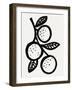 Fruit Cocktail - Apricot-Joelle Wehkamp-Framed Giclee Print