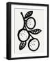 Fruit Cocktail - Apricot-Joelle Wehkamp-Framed Giclee Print