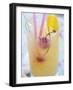 Fruit Cocktail with Cherries and Lemon Peel-Foodcollection-Framed Photographic Print