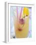 Fruit Cocktail with Cherries and Lemon Peel-Foodcollection-Framed Photographic Print