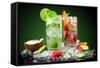 Fruit Cocktail With Dark Background-Jag_cz-Framed Stretched Canvas