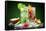 Fruit Cocktail With Dark Background-Jag_cz-Framed Stretched Canvas