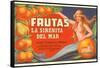 Fruit Crate Label, Mermaid-null-Framed Stretched Canvas