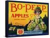 Fruit Crate Labels: Bo-Peep Brand Apples, Extra Fancy; Wenatchee-Okanogan Cooperative Federation-null-Framed Stretched Canvas