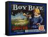 Fruit Crate Labels: Boy Blue Brand Wenatchee Apples; East Wenatchee Fruit Growers-null-Framed Stretched Canvas