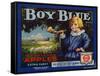 Fruit Crate Labels: Boy Blue Brand Wenatchee Apples; East Wenatchee Fruit Growers-null-Framed Stretched Canvas