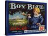 Fruit Crate Labels: Boy Blue Brand Wenatchee Apples; East Wenatchee Fruit Growers-null-Stretched Canvas