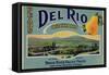 Fruit Crate Labels: Del Rio Orchard Pears; Rogue River Valley Fruits-null-Framed Stretched Canvas