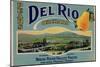 Fruit Crate Labels: Del Rio Orchard Pears; Rogue River Valley Fruits-null-Mounted Art Print
