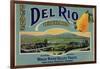 Fruit Crate Labels: Del Rio Orchard Pears; Rogue River Valley Fruits-null-Framed Art Print