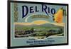 Fruit Crate Labels: Del Rio Orchard Pears; Rogue River Valley Fruits-null-Framed Art Print