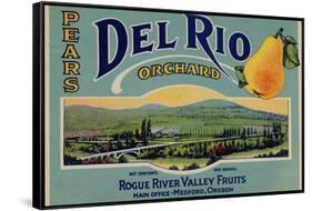 Fruit Crate Labels: Del Rio Orchard Pears; Rogue River Valley Fruits-null-Framed Stretched Canvas