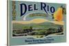 Fruit Crate Labels: Del Rio Orchard Pears; Rogue River Valley Fruits-null-Stretched Canvas