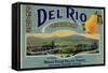 Fruit Crate Labels: Del Rio Orchard Pears; Rogue River Valley Fruits-null-Framed Stretched Canvas