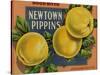 Fruit Crate Labels: Newtown Pippins; Davidson Fruit Company-null-Stretched Canvas