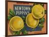 Fruit Crate Labels: Newtown Pippins; Davidson Fruit Company-null-Framed Art Print