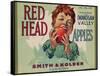 Fruit Crate Labels: Red Head Apples; Distributed by Smith and Holden, New York-null-Framed Stretched Canvas