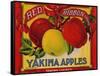 Fruit Crate Labels: Red Ribbon Brand Yakima Apples; Yakima County Horticultural Union-null-Framed Stretched Canvas