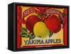 Fruit Crate Labels: Red Ribbon Brand Yakima Apples; Yakima County Horticultural Union-null-Framed Stretched Canvas