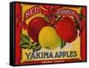 Fruit Crate Labels: Red Ribbon Brand Yakima Apples; Yakima County Horticultural Union-null-Framed Stretched Canvas