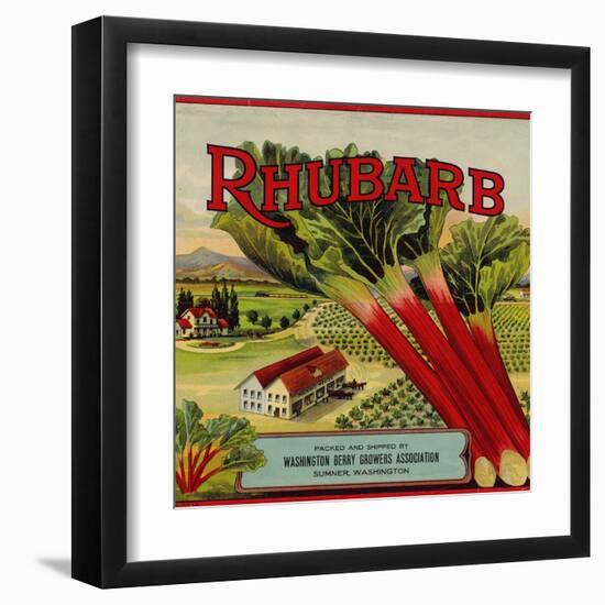 Fruit Crate Labels: Rhubarb; Packed and Shipped by Washington Berry Growers Association-null-Framed Art Print