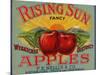 Fruit Crate Labels: Rising Sun Fancy Apples; F.E. Nellis and Company-null-Mounted Art Print