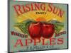 Fruit Crate Labels: Rising Sun Fancy Apples; F.E. Nellis and Company-null-Mounted Art Print