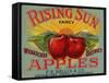 Fruit Crate Labels: Rising Sun Fancy Apples; F.E. Nellis and Company-null-Framed Stretched Canvas