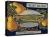 Fruit Crate Labels: Ruby Brand Pears; Entiat Fruit Growers League-null-Stretched Canvas