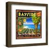 Fruit Crate Oranges II-Chris Vest-Framed Art Print