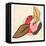 Fruit Cuts I-Annie Warren-Framed Stretched Canvas