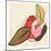 Fruit Cuts I-Annie Warren-Mounted Art Print