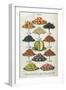 Fruit Displayed on Platters-null-Framed Art Print