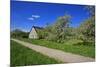 Fruit Farm Between Blossoming Cherry Trees Iat the Estedeich in Kšnigreich, Altes Land Near Hamburg-Uwe Steffens-Mounted Photographic Print
