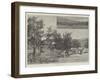 Fruit-Gathering in California-Charles Auguste Loye-Framed Giclee Print