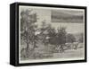 Fruit-Gathering in California-Charles Auguste Loye-Framed Stretched Canvas