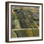 Fruit Growing and Viniculture in South Tyrol, Alto Adige-Martin Zwick-Framed Photographic Print