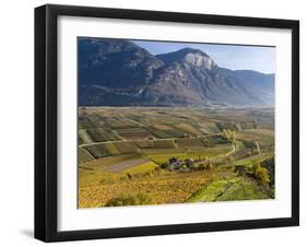 Fruit Growing and Viniculture in South Tyrol, Alto Adige-Martin Zwick-Framed Photographic Print