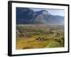 Fruit Growing and Viniculture in South Tyrol, Alto Adige-Martin Zwick-Framed Photographic Print