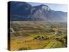 Fruit Growing and Viniculture in South Tyrol, Alto Adige-Martin Zwick-Stretched Canvas