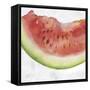 Fruit III-Eva Watts-Framed Stretched Canvas