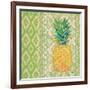 Fruit Ikat I-Paul Brent-Framed Art Print