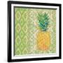 Fruit Ikat I-Paul Brent-Framed Art Print