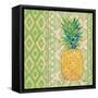 Fruit Ikat I-Paul Brent-Framed Stretched Canvas