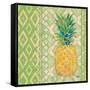 Fruit Ikat I-Paul Brent-Framed Stretched Canvas