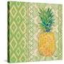 Fruit Ikat I-Paul Brent-Stretched Canvas