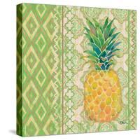 Fruit Ikat I-Paul Brent-Stretched Canvas